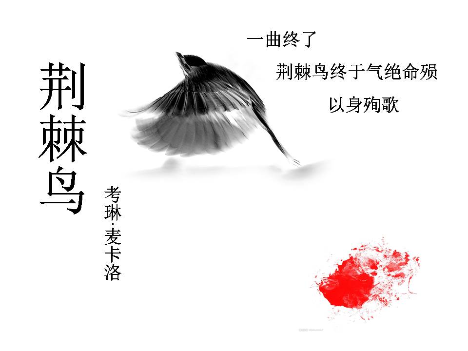荆棘鸟